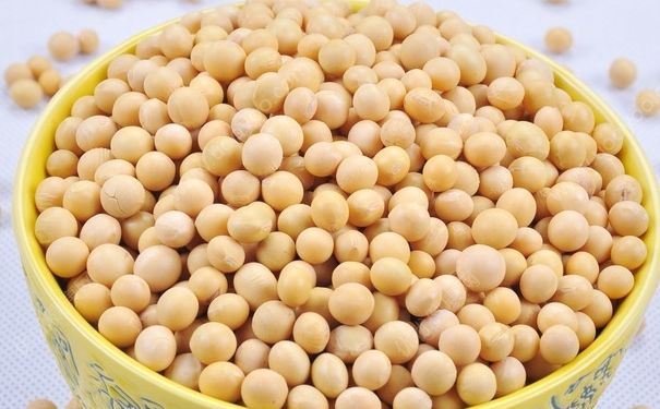 黄豆吃多了会发胖吗？吃黄豆会发胖吗？(4)