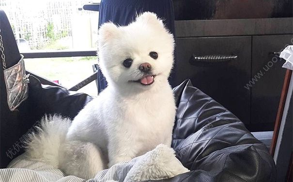 和爸妈吵架了怎么办？和爸妈关系不好怎么办？(1)