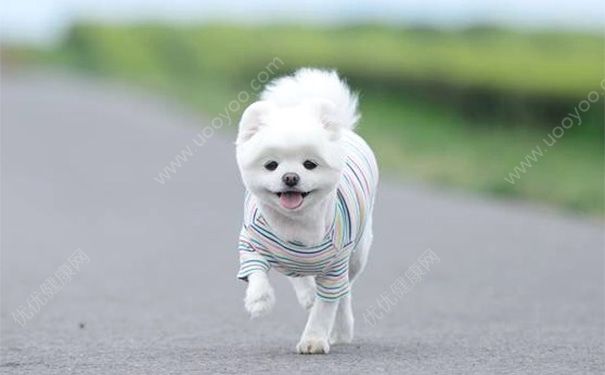 和爸妈吵架了怎么办？和爸妈关系不好怎么办？(3)