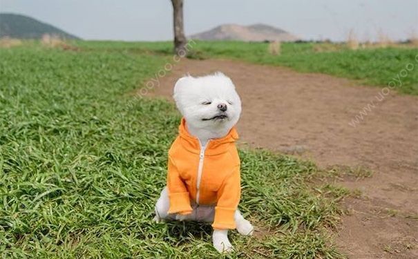 和爸妈吵架了怎么办？和爸妈关系不好怎么办？(2)