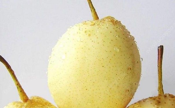 水蜜桃和梨榨汁可以吗？水蜜桃和梨子榨汁好喝吗？(3)