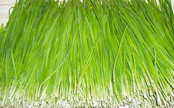 吃西瓜能吃韭菜吗？韭菜和西瓜能一起吃吗？(1)