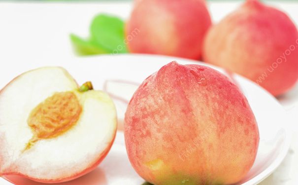 水蜜桃和酸奶可以一起吃吗？水蜜桃和酸奶一起吃好吗？(3)