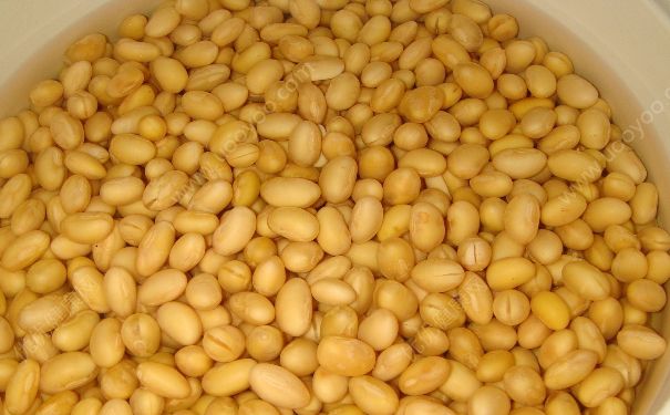 黄豆与什么食物相克？黄豆与什么搭配最好？(3)
