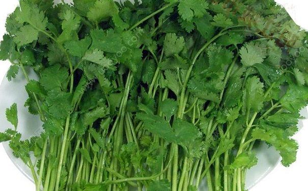 芹菜怎么吃减肥？减肥吃芹菜怎样效果好？(3)