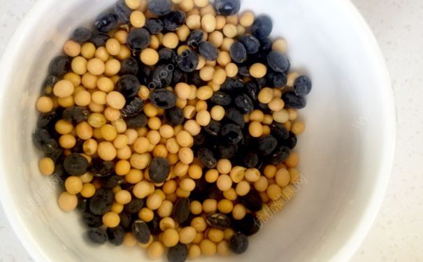 黄豆能和黑豆一起打豆浆吗？黄豆和黑豆一起打豆浆可以吗？(1)
