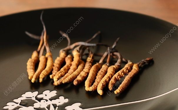北虫草和冬虫夏草有什么区别？北虫草和冬虫夏草的区别是什么？(4)