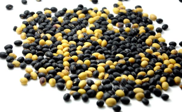 黄豆能和黑豆一起打豆浆吗？黄豆和黑豆一起打豆浆可以吗？(3)