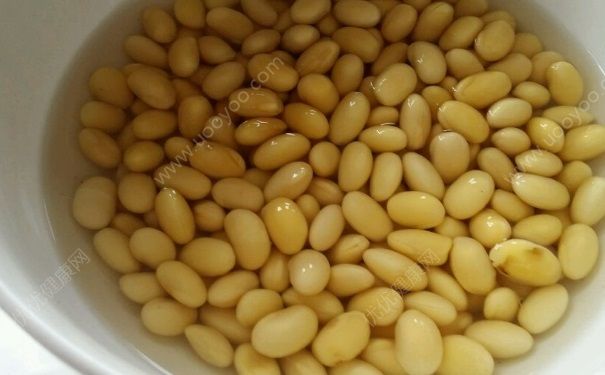 黄豆要泡多久才能煲汤？黄豆要煮多久才熟？(1)