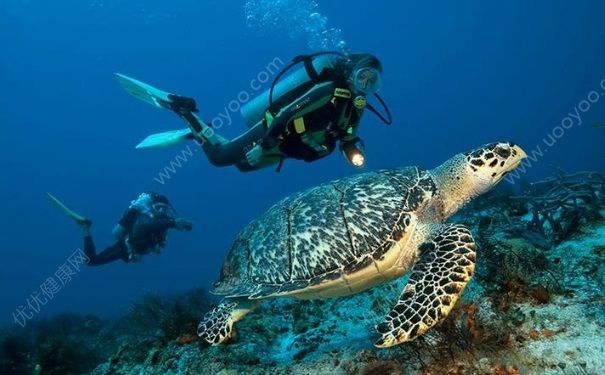 潜水能化妆吗？女生潜水可以不可以化妆？(4)