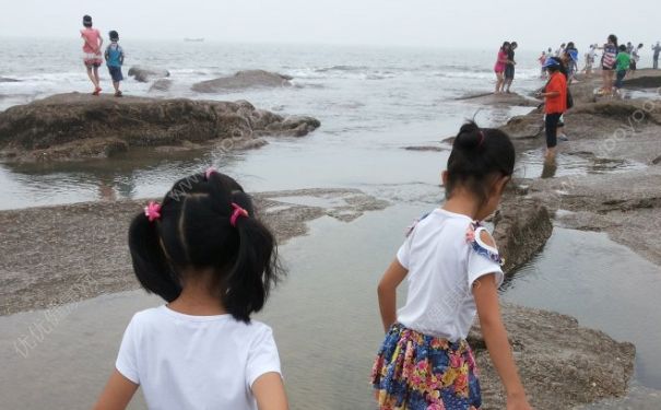 暑假怎样过才有意义？暑假怎么安排？(2)