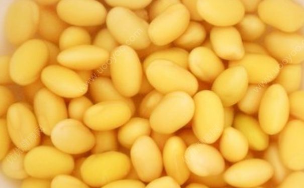 黄豆要泡多久才能做豆浆？黄豆要泡多久？(2)
