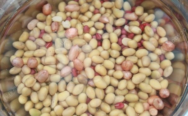 黄豆和什么一起打豆浆最好？黄豆与什么搭配打豆浆？(2)