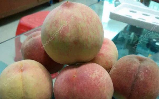 仓鼠可以吃水蜜桃吗？仓鼠吃水蜜桃好吗？[多图]
