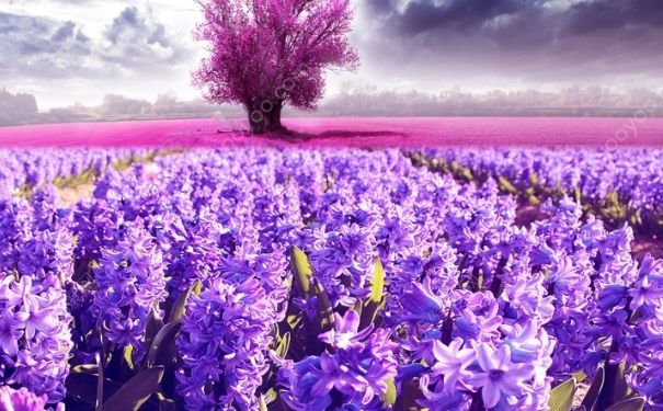 夏天晒伤了怎么办？夏天晒伤怎么办？(3)