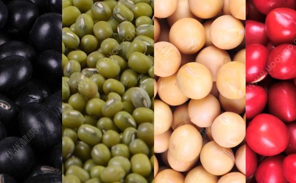 黄豆和绿豆可以一起打豆浆吗？黄豆和绿豆可以一起吃吗？(4)