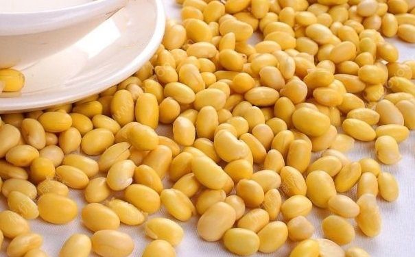 黄豆煮粥怎么做好吃？黄豆煮粥需要泡多久？(2)