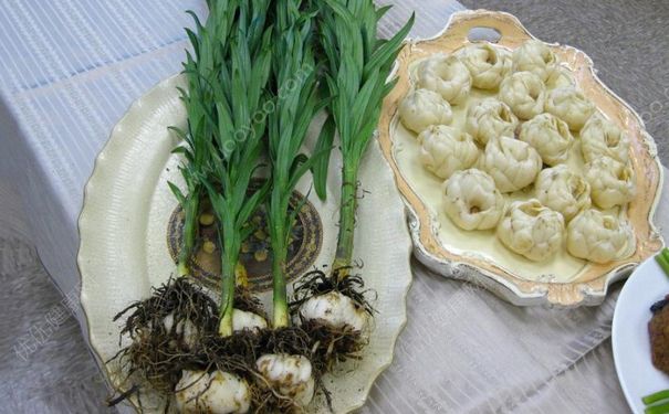 百合有什么禁忌？百合的食用禁忌[多图]