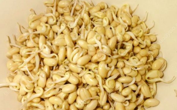 黄豆芽孕妇可以吃吗？黄豆芽孕妇能吃吗？[多图]