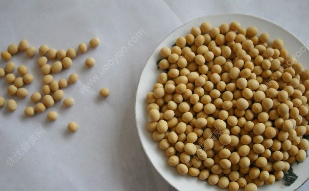 黄豆吃多了会放屁吗？黄豆吃多了会拉肚子吗？(2)