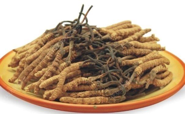 冬虫夏草怎么辨别真假？冬虫夏草怎么分真假？(4)
