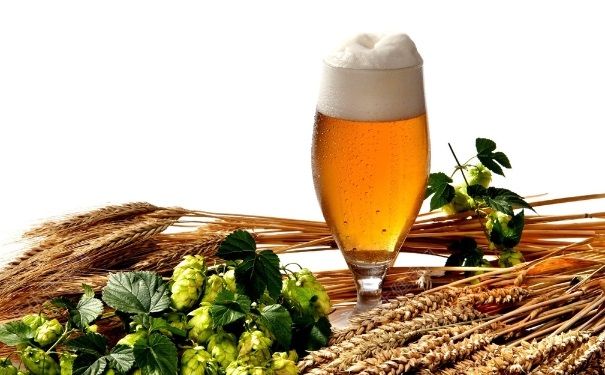 喝啤酒吃什么菜最好？喝啤酒吃什么下酒菜好？[多图]