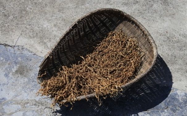 干豆角能做包子吗？干豆角怎么做包子馅？(1)