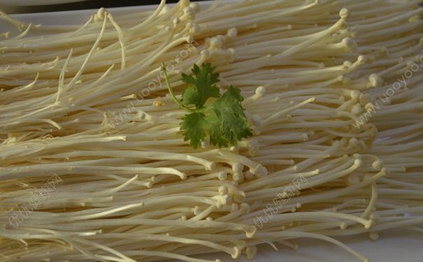 金针菇和鸡蛋能一起吃吗？金针菇能炒鸡蛋吗？(1)
