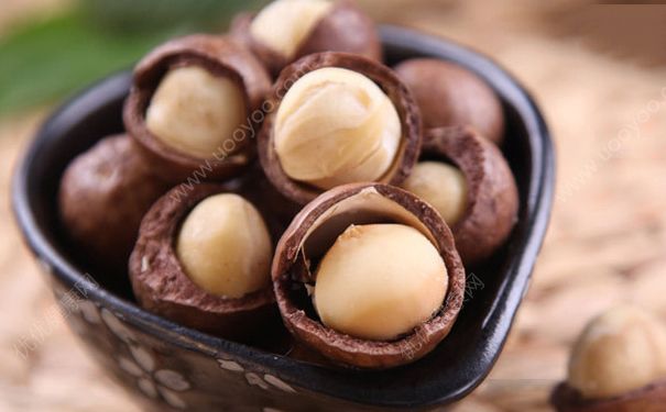 夏威夷果热量高吗？夏威夷果油脂含量高吗？(2)