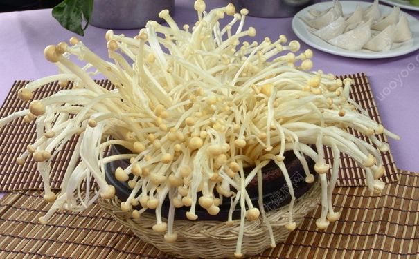金针菇会坏吗？金针菇坏了能吃吗？[多图]