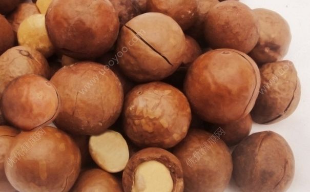 夏威夷果为什么叫夏威夷果？夏威夷果名字的由来(1)