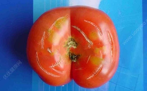 番茄裂果是什么原因？番茄裂开了还能吃吗？(3)
