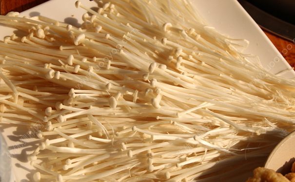 金针菇和冬瓜能熬汤吗？冬瓜和金针菇一起吃好吗？(1)