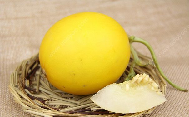 吃了香瓜拉肚子什么情况？香瓜吃了会拉肚子吗？[多图]