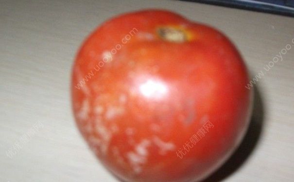 番茄有点烂还能吃吗？番茄只烂了一点可以吃吗？(2)