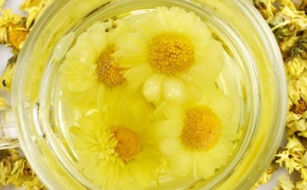孕妇喝菊花茶可以吗？孕妇可以喝茶吗？(2)