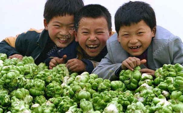 凉拌榨菜丝怎么做好吃？凉拌榨菜丝的做法(1)