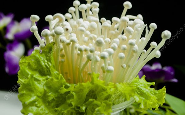 金针菇和胡萝卜能一起吃吗？胡萝卜和金针菇一起吃好吗