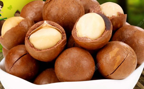 夏威夷果这么硬怎么吃？夏威夷果为什么这么硬？(2)