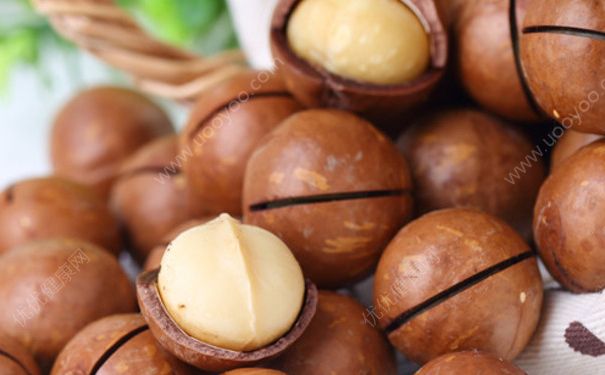 夏威夷果这么硬怎么吃？夏威夷果为什么这么硬？(4)