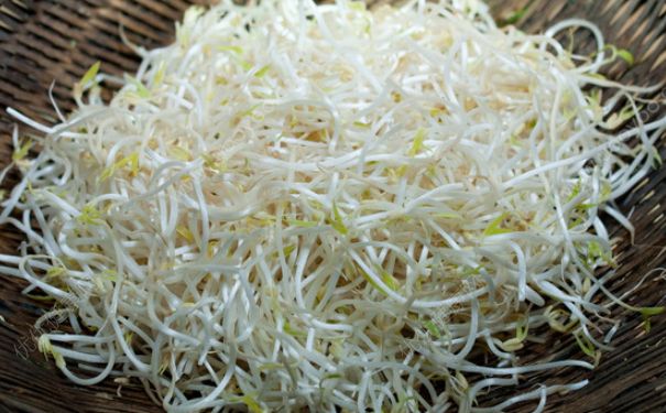 豆芽炒鸡蛋怎么做好吃？豆芽炒鸡蛋的做法(2)