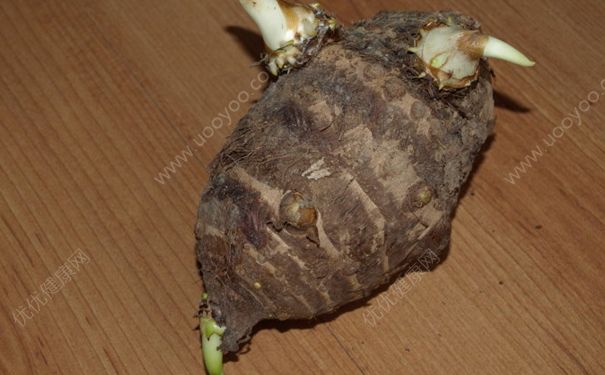 芋头发芽可以吃吗？发芽的芋头能吃吗？(2)