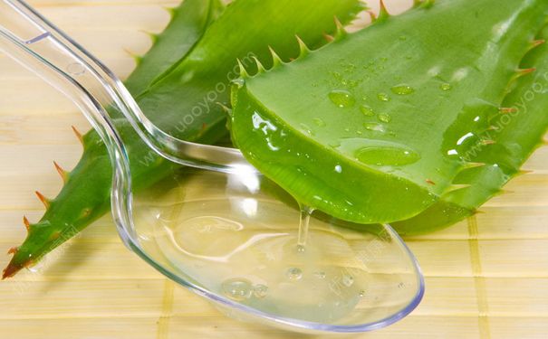 鲜芦荟能去痘痘吗？鲜芦荟能去痘印吗？(3)