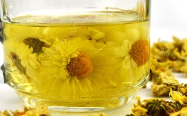 哺乳期能喝菊花茶吗？哺乳期能喝菊花水吗？(2)