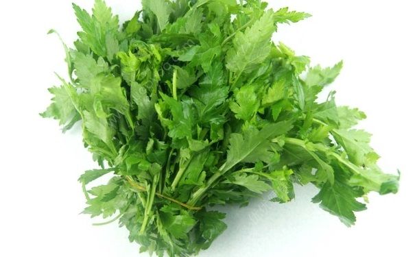 菊花脑孕妇能吃吗？孕妇可以吃菊花脑吗？(2)
