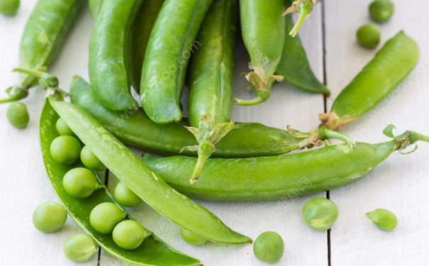 豌豆能祛斑吗？豌豆可以祛斑吗？(2)