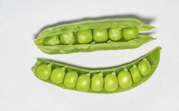 豌豆能祛斑吗？豌豆可以祛斑吗？(4)