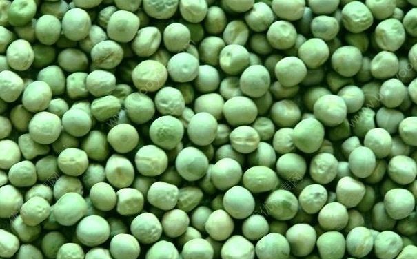 豌豆炒鸡蛋怎么炒好吃？豌豆炒鸡蛋的做法(2)