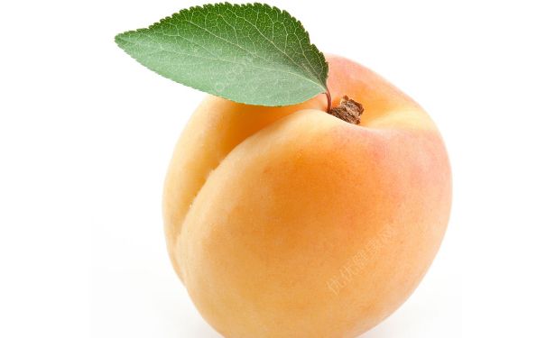 新鲜杏子怎么吃？杏子怎么做好吃？(3)