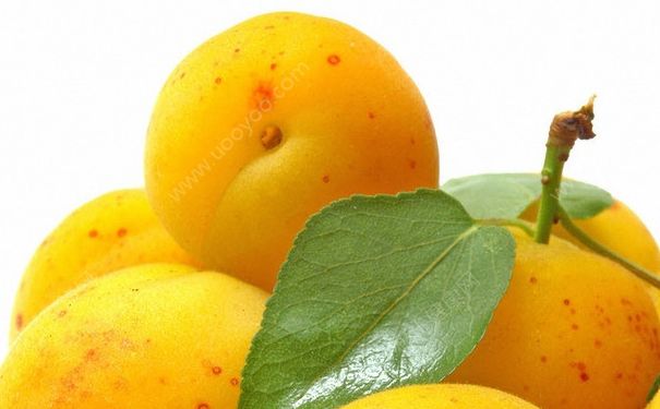 新鲜杏子怎么吃？杏子怎么做好吃？[多图]